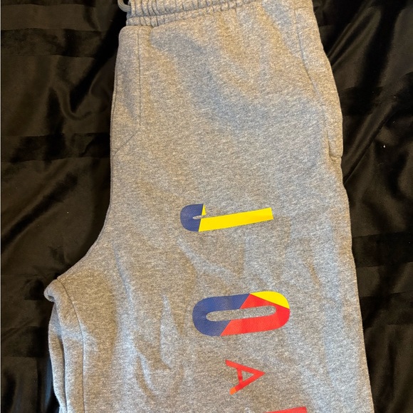 Jordan Gray Joggers with Multicolor Logo - Picture 1 of 3
